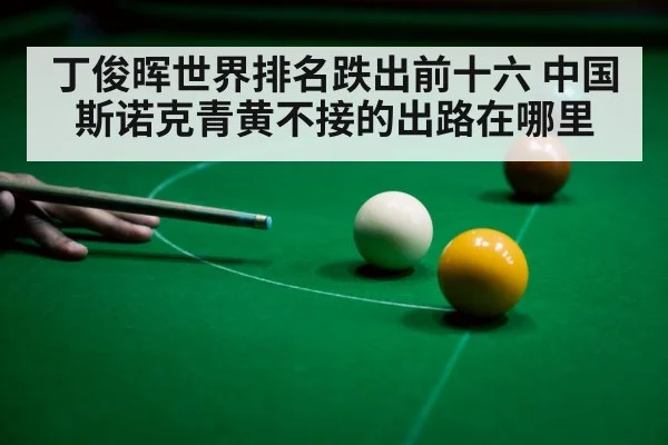 丁俊晖世界排名跌出前十六 中国斯诺克青黄不接的出路在哪里